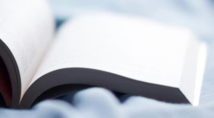 Vidas Paralelas/La Caja/El Libro - Índice